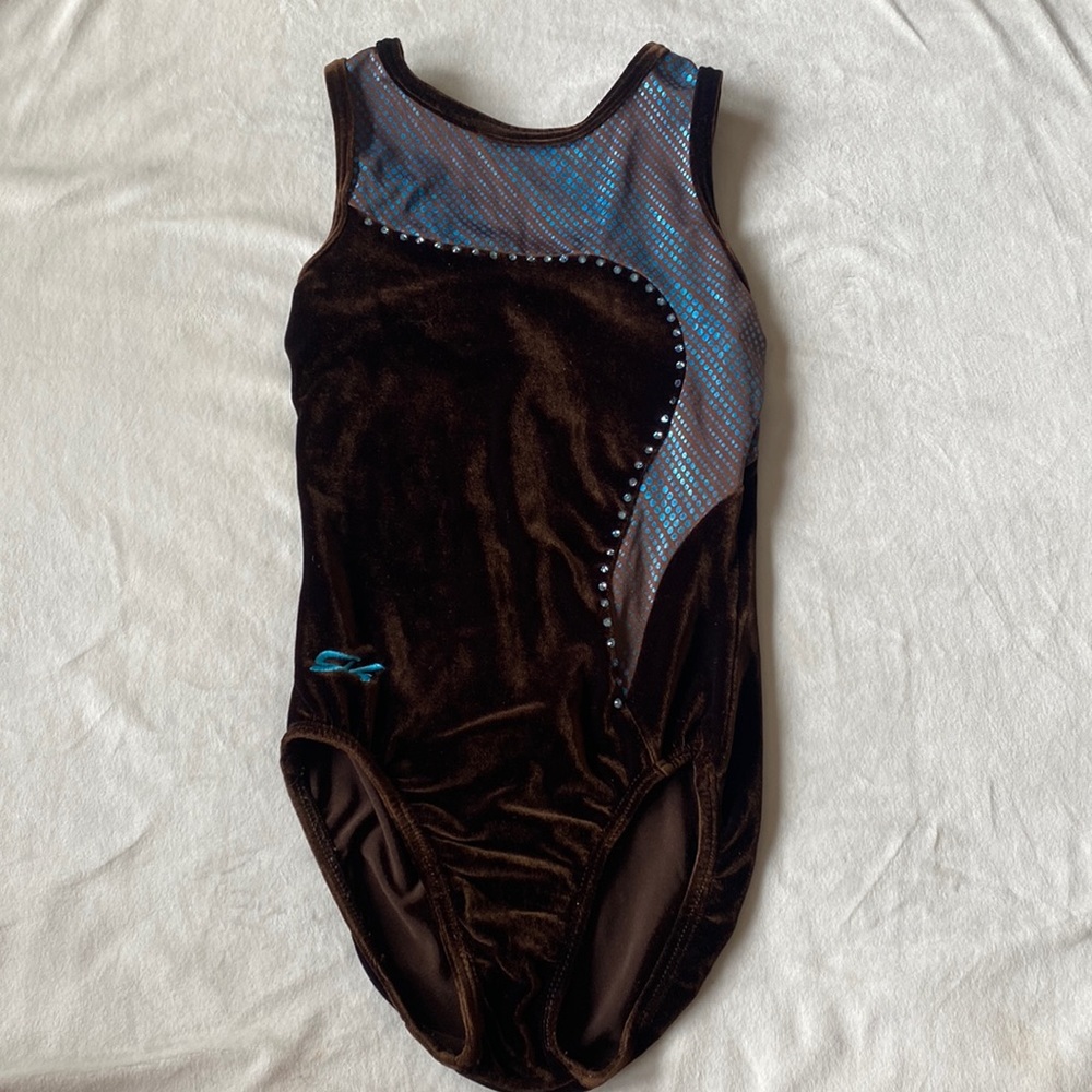 LIKE NEW GK Elite Velvet Leotard.
